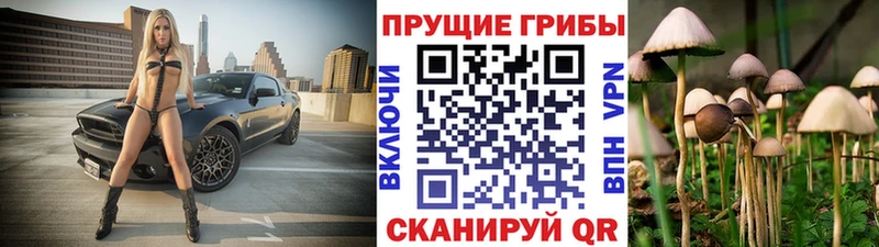 Галлюциногенные грибы GOLDEN TEACHER  Полярный 